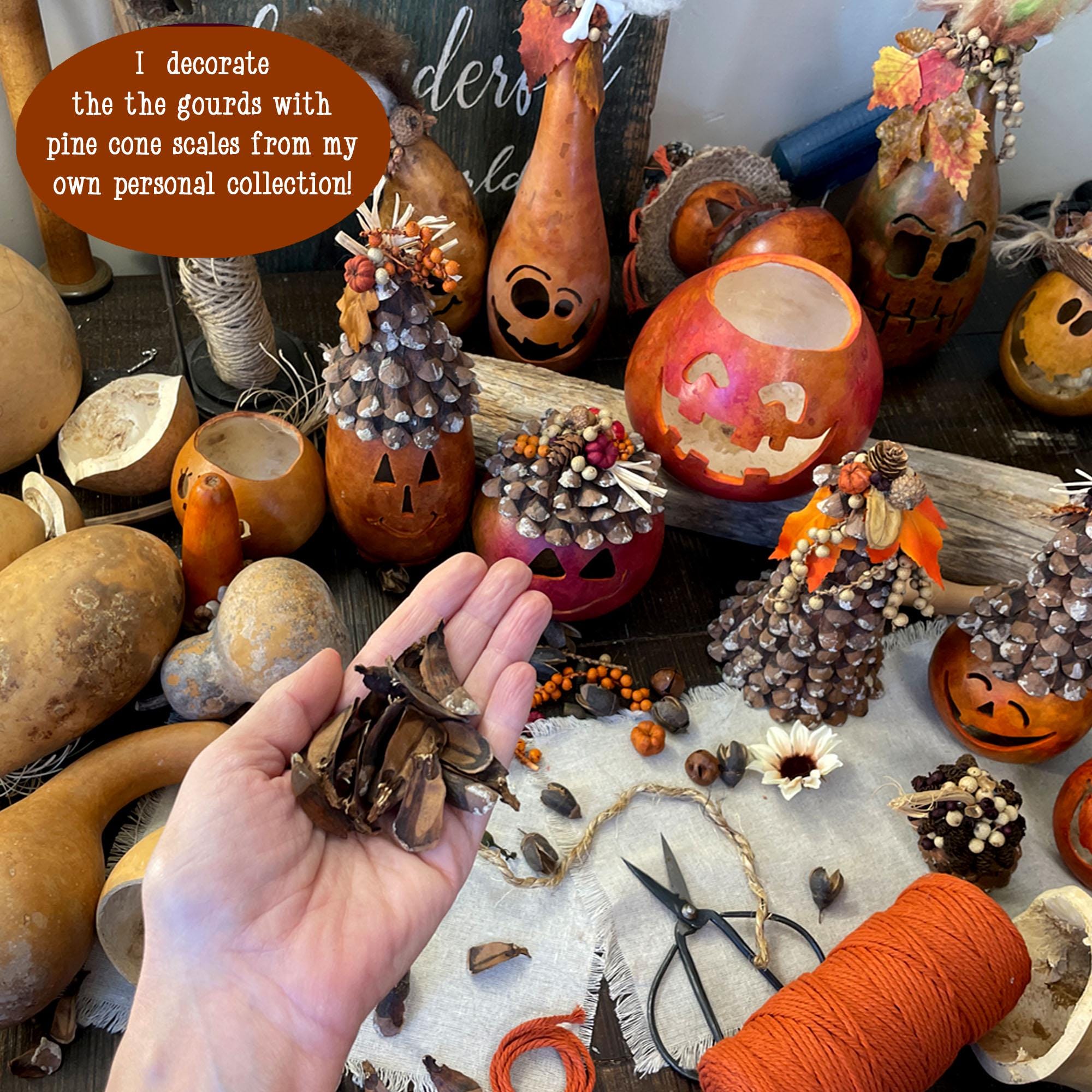 Pearl – Whimsical Hand Carved Pumpkin Gourd with Candle Light