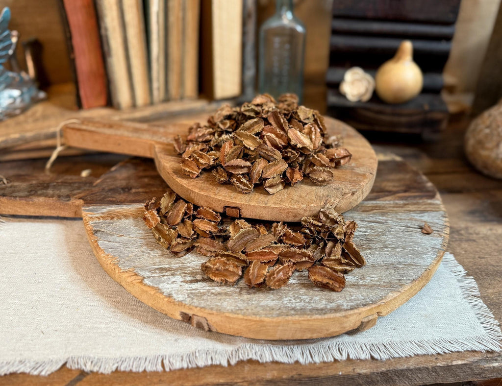 Fall Bowl Filler, Dough Bowl Decorations, Dried Botanicals, Neutral Bowl Fillers, Centerpieces For Coffee Table, Natural Vase Filler