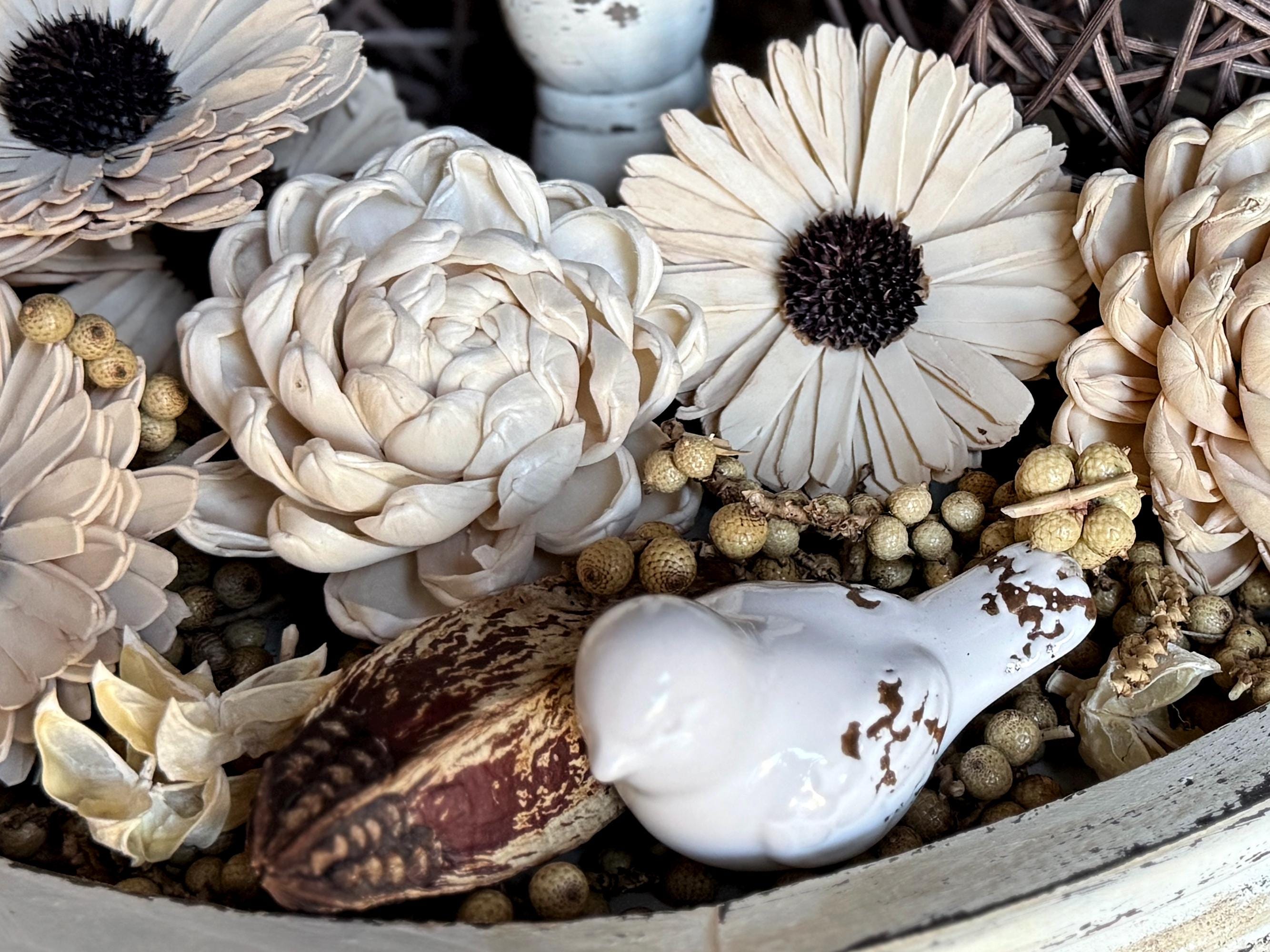 Decorative arrangement of flowers and a shell in a pot