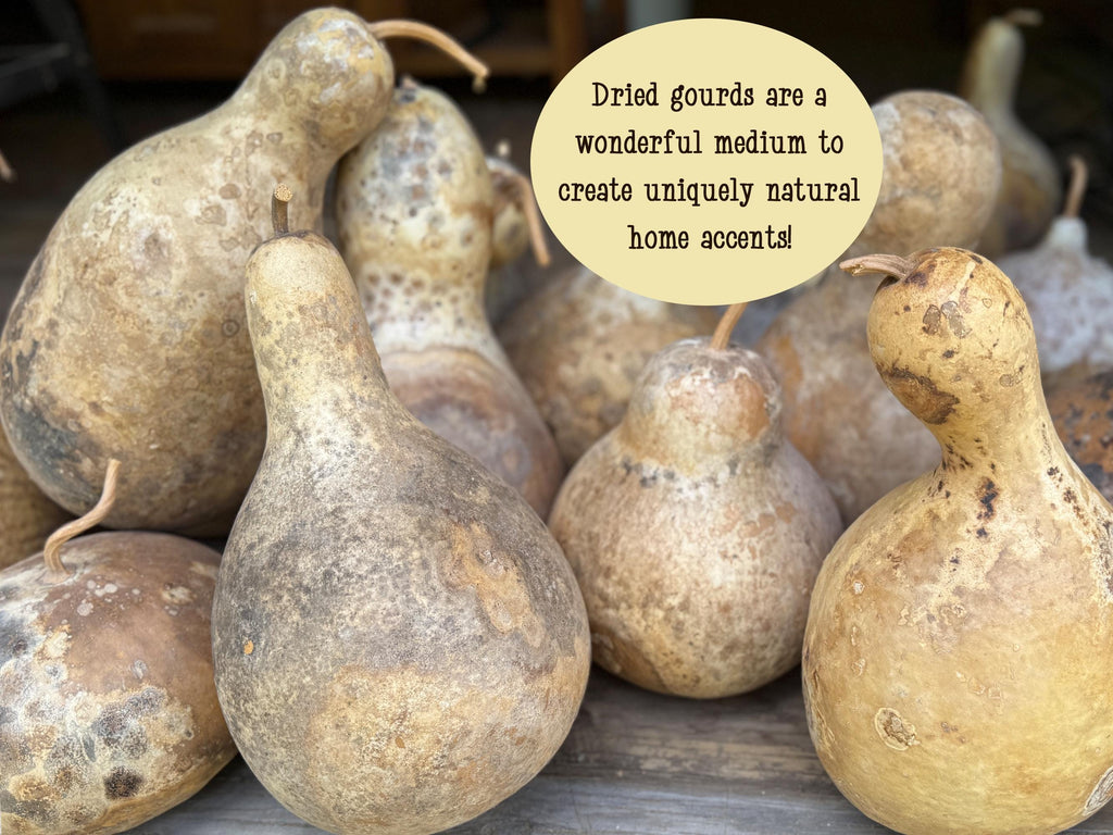 Dried gourds on a wooden surface with text overlay about their use in home decor.