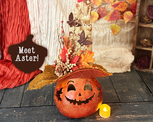 Decorative pumpkin with a hat and autumn leaves on a wooden surface, with 'Meet Aster!' text.