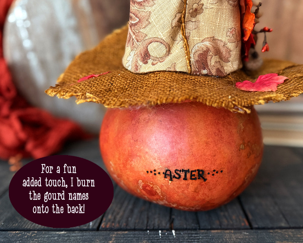 Decorative gourd with a straw hat and 'Aster' branding on a wooden surface.