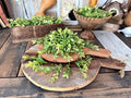 Decorative setup with green foliage on wooden bread board with a rustic background.