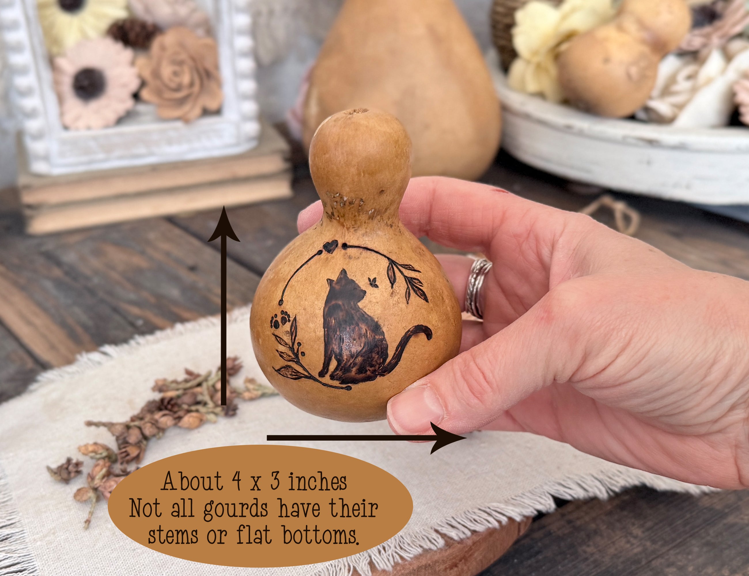Cat Gourd Decor Set – Hand Drawn Rustic Pet Home Accent