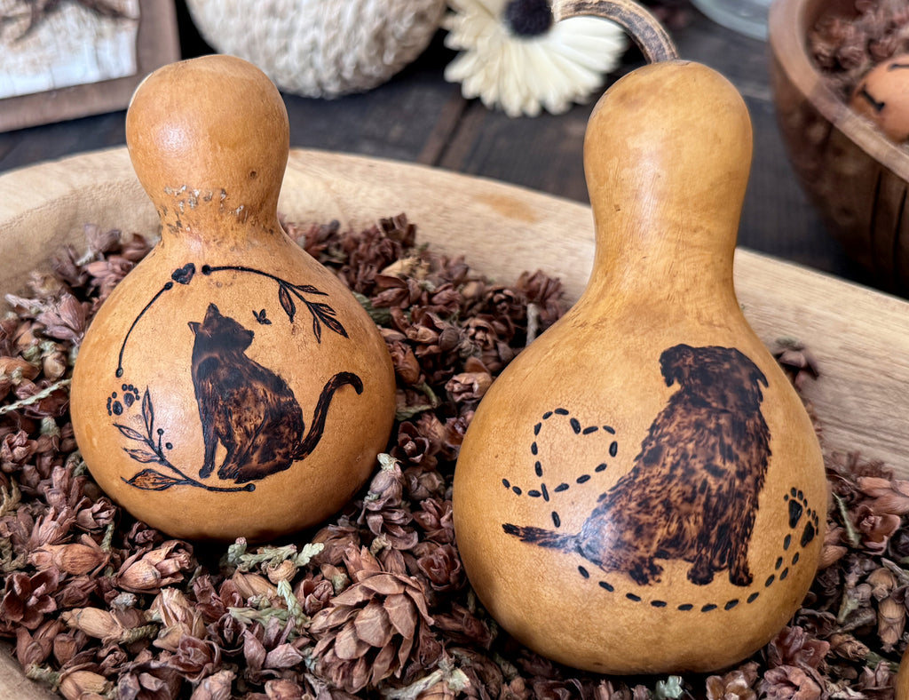 Two gourds with engraved cat designs on a bed of pine cones and dried leaves.