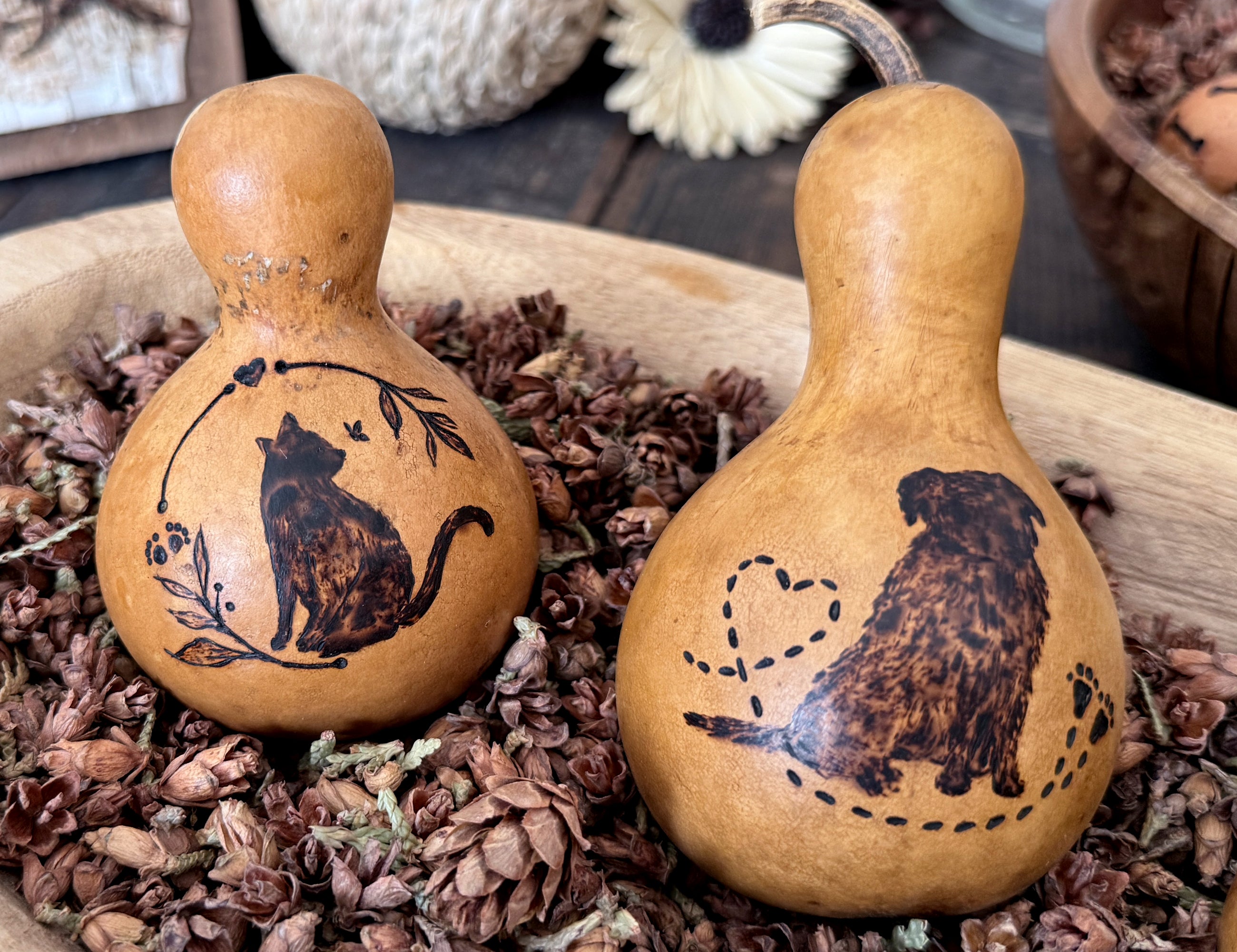 Two gourds with engraved cat designs on a bed of pine cones and dried leaves.