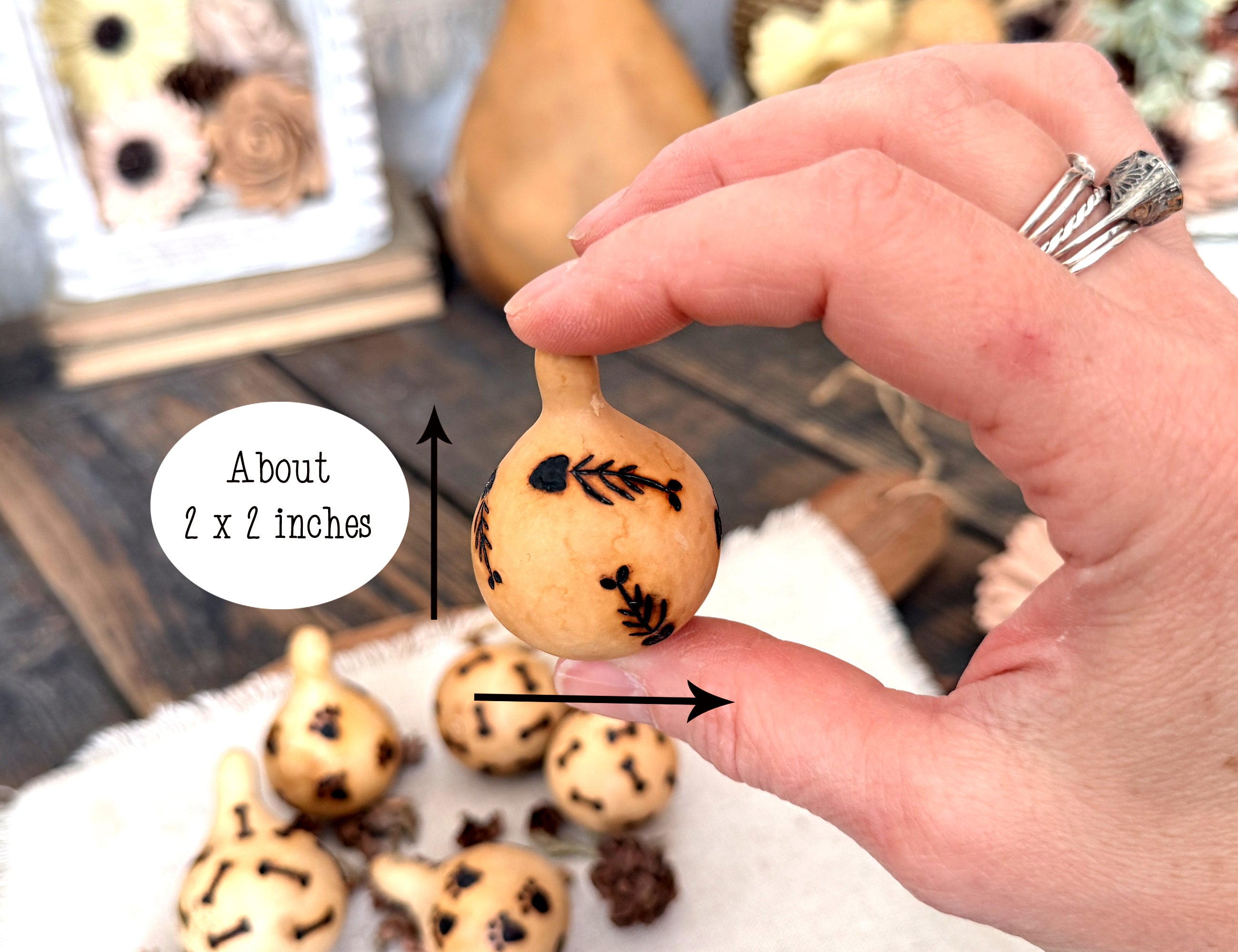 Cat Gourd Decor Set – Hand Drawn Rustic Pet Home Accent