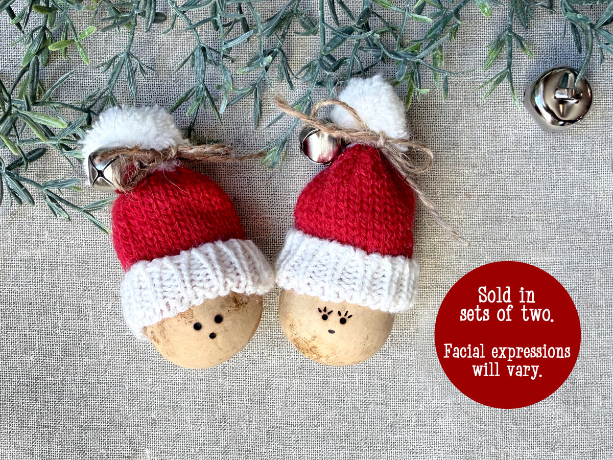 Image shows to mini gourds with Santa hats laying side by side. Image indicates sold in sets of two, facial expressions will vary.