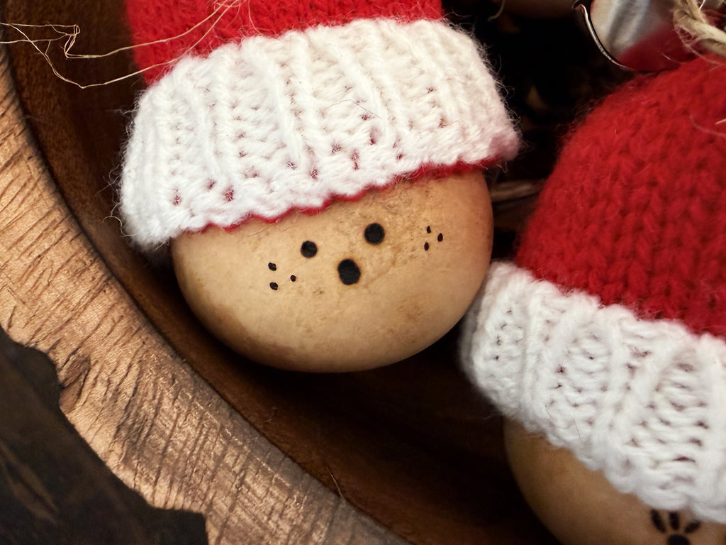 Closeup image of mini Santa Claus gourd with freckles. 