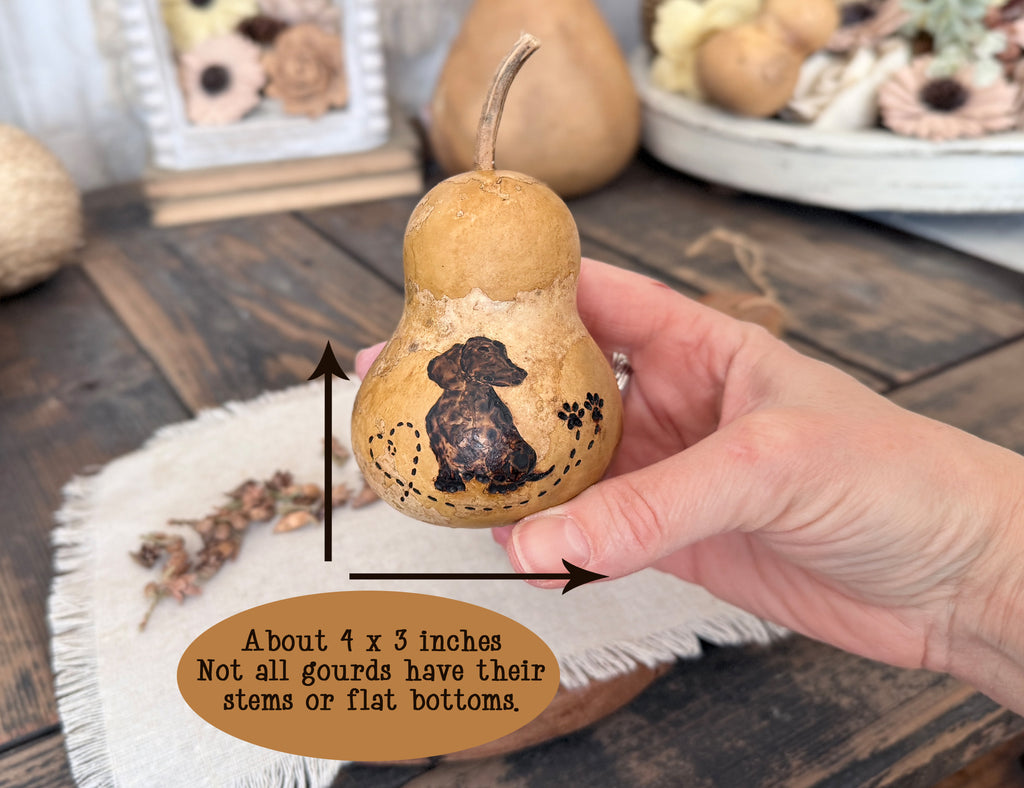 Hand holding a small gourd with a Dachshund dog silhouette, surrounded by dried botanicals on a wooden surface.