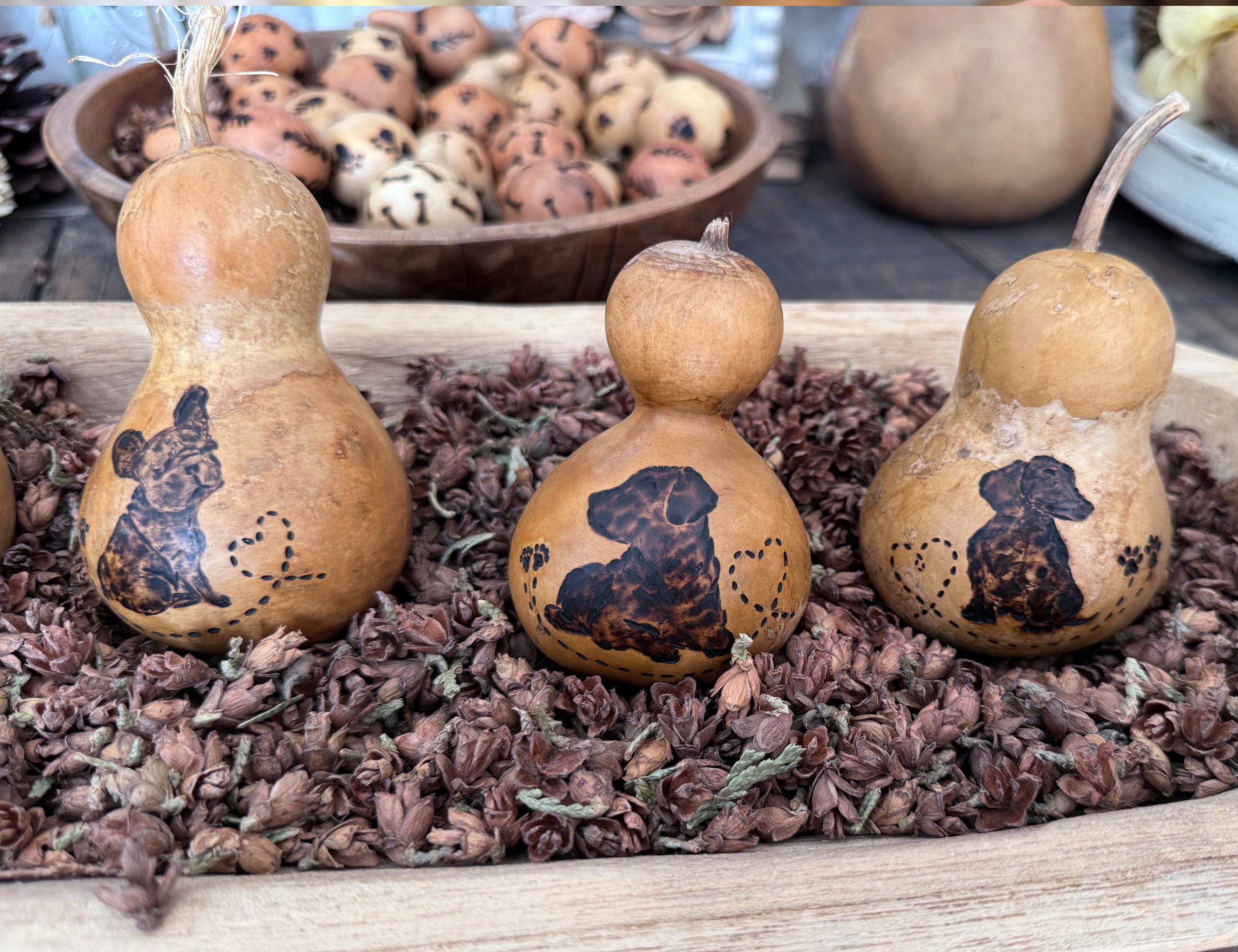 Three dog themed gourds with engraved dog designs on a bed of dried cedar cones
