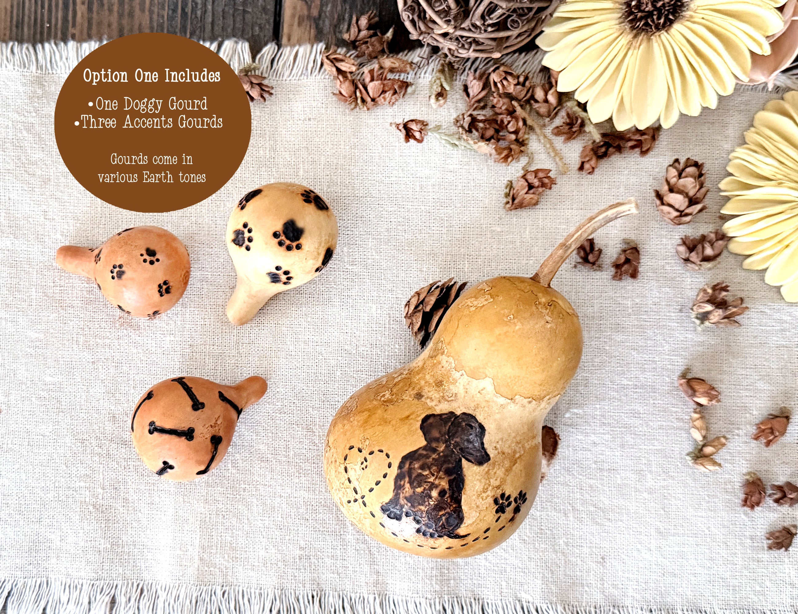 Option one for purchase. A Dachshund gourd and three accent gourds with paw prints and dog bones