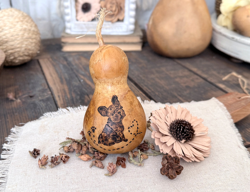Decorative gourd with a French Bulldog design on a wooden surface with flowers and pinecones.