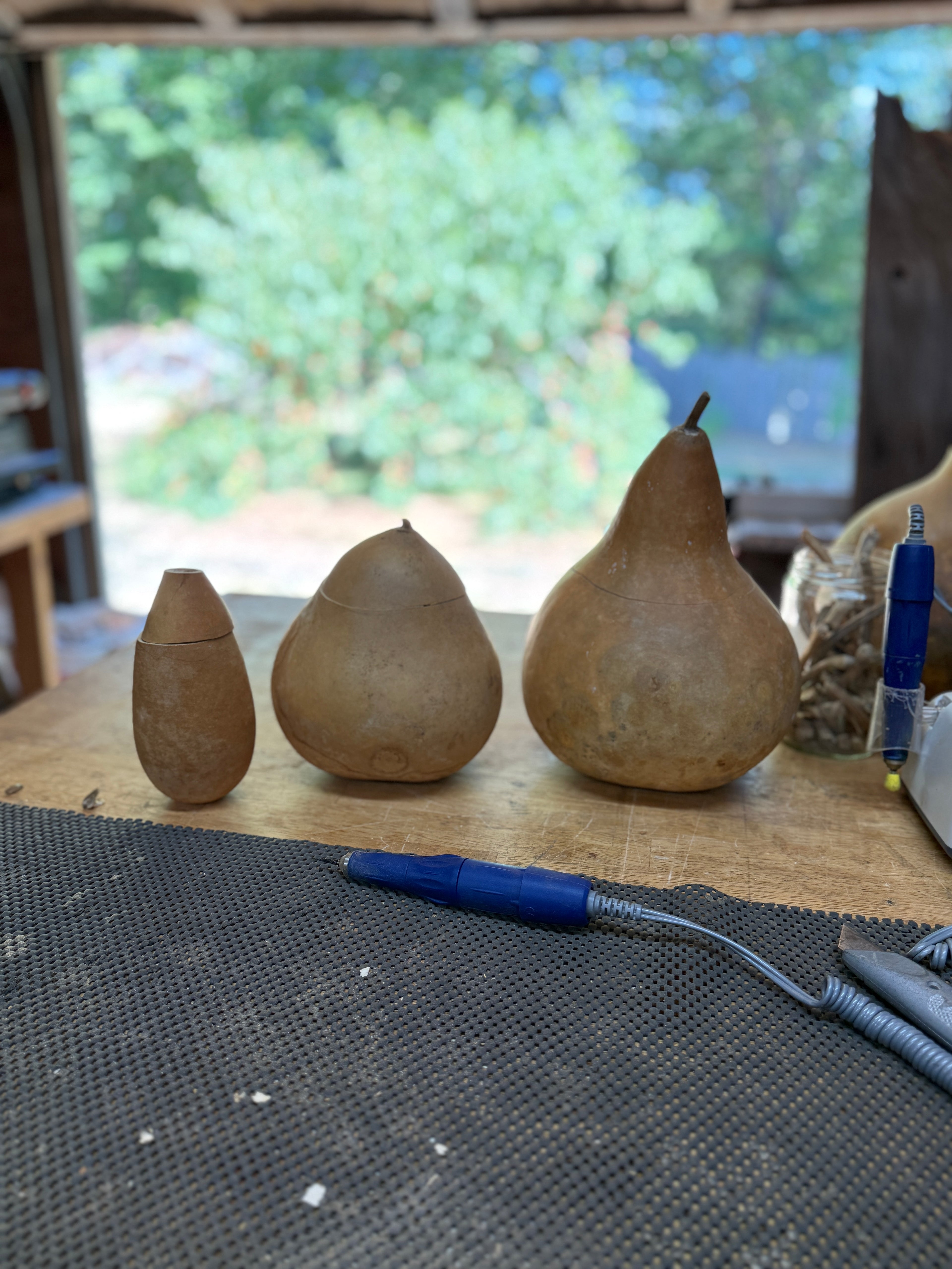 Three gourds of different sizes on a table with a blurred outdoor background