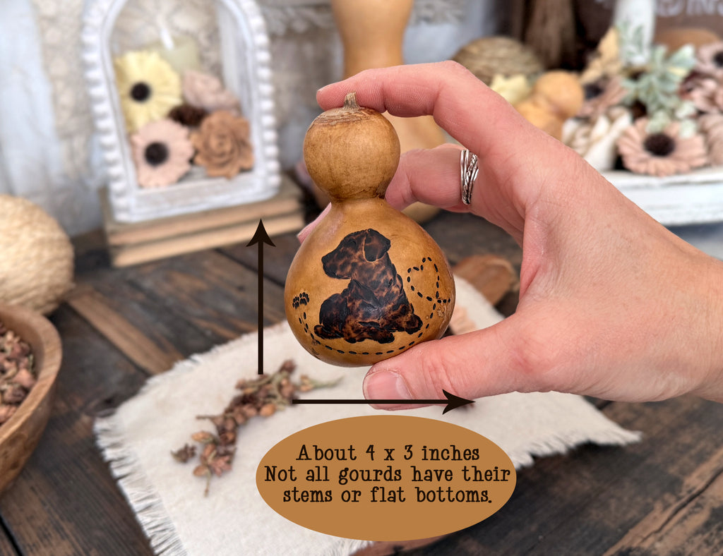 Hand holding a decorative Labrador Dog gourd with a measurement label on a rustic surface.