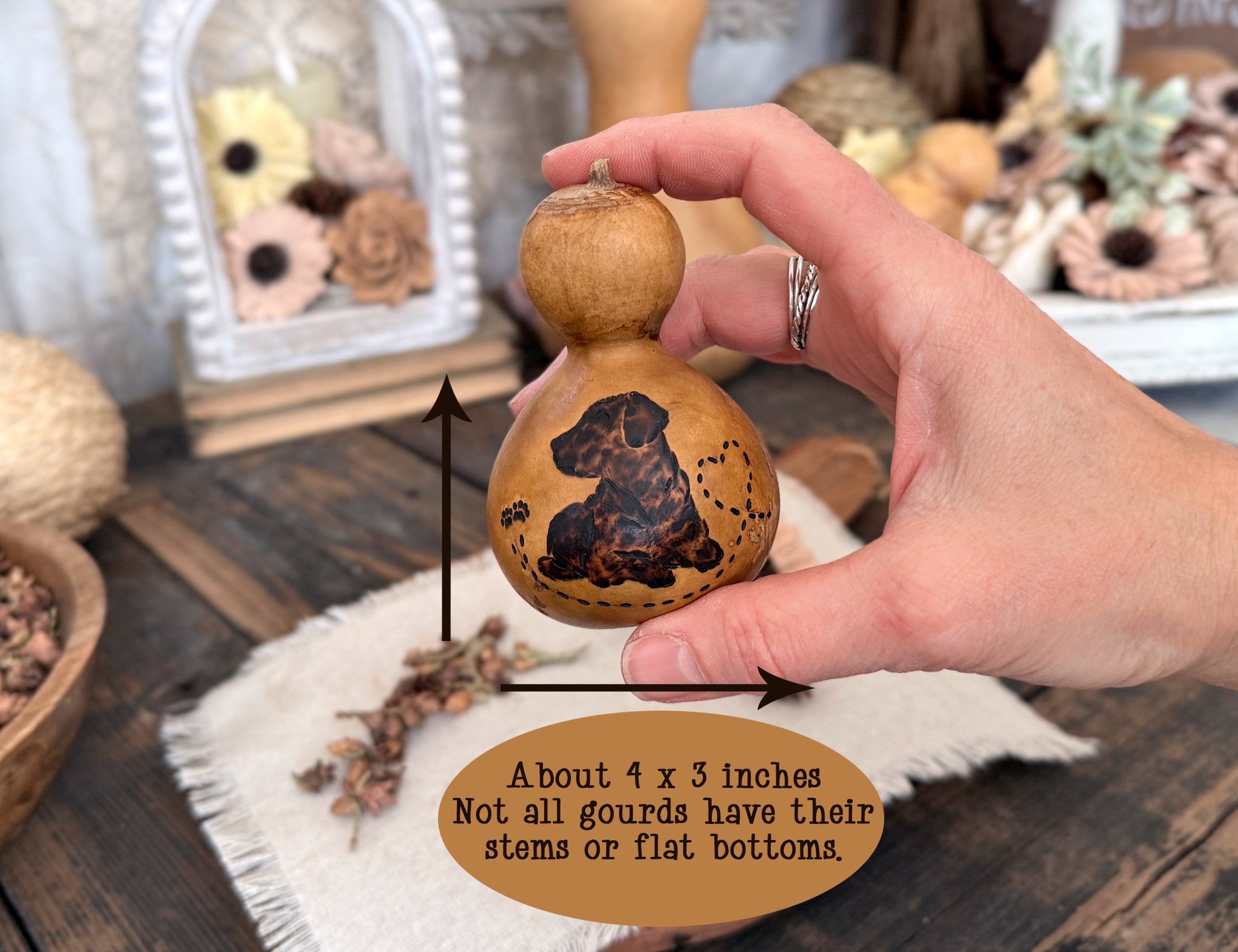 Hand holding a decorative Labrador Dog gourd with a measurement label on a rustic surface.