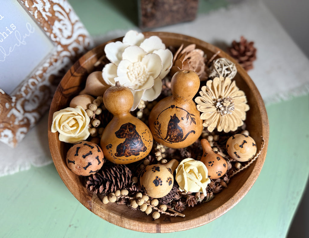 Decorative bowl with pet gourds, flowers, and pinecones on a light green surface.