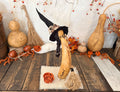 A decorative Halloween-style gourd figure made from a natural gourd, wearing a black witch hat and braided black hair, standing on a small white cloth on a rustic wooden surface. The scene is styled with additional gourds, orange berries, dried leaves, and a straw broom against a white textured backdrop.