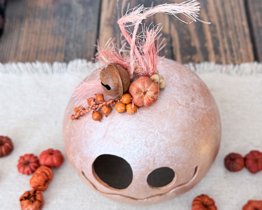 The top of Belle's head showing pink sprigs of hair, dried pumpkin pods and a rusty jingle bell. 