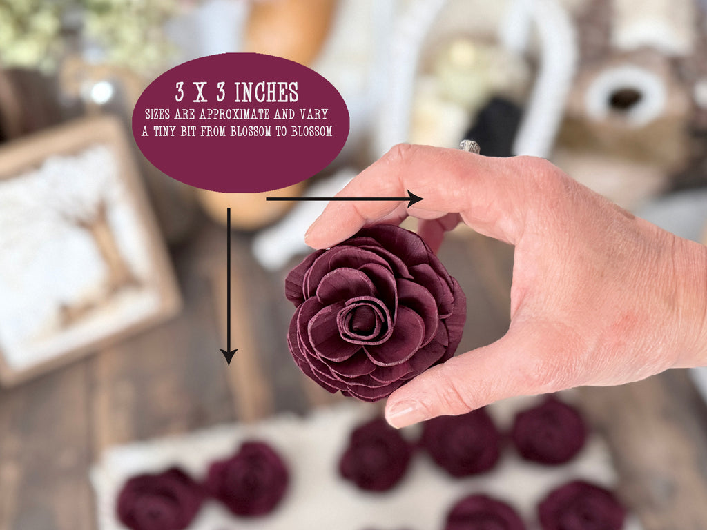 My hand holding a wine wood ranunculus flower blossom that measures 3 by 3 inches