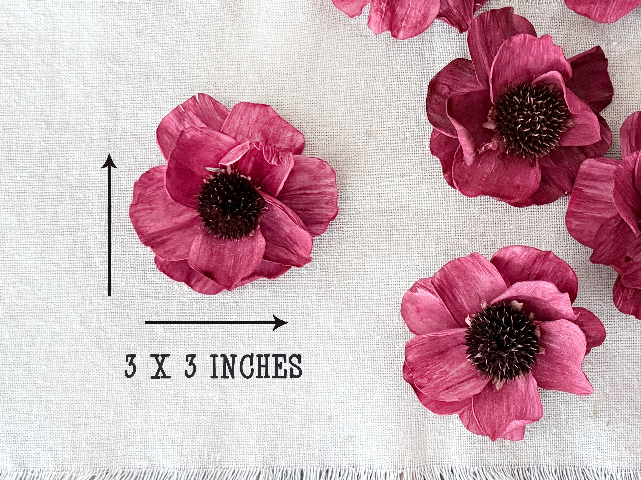 Red flowers on a textured white background with measurement text.