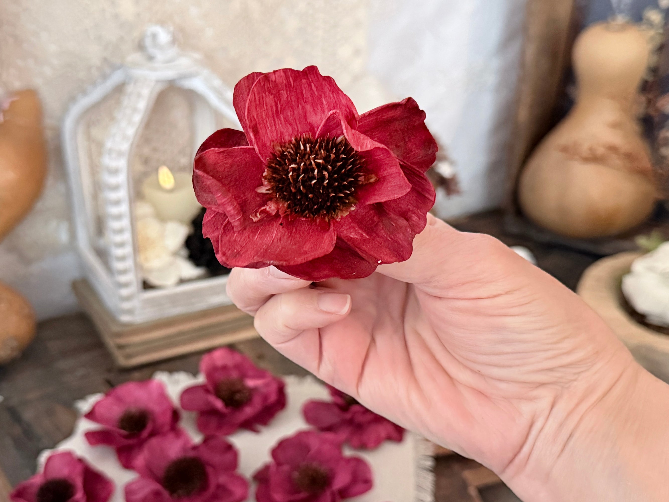 Hand holding a red flower with a blurred background of pumpkins and a lantern.