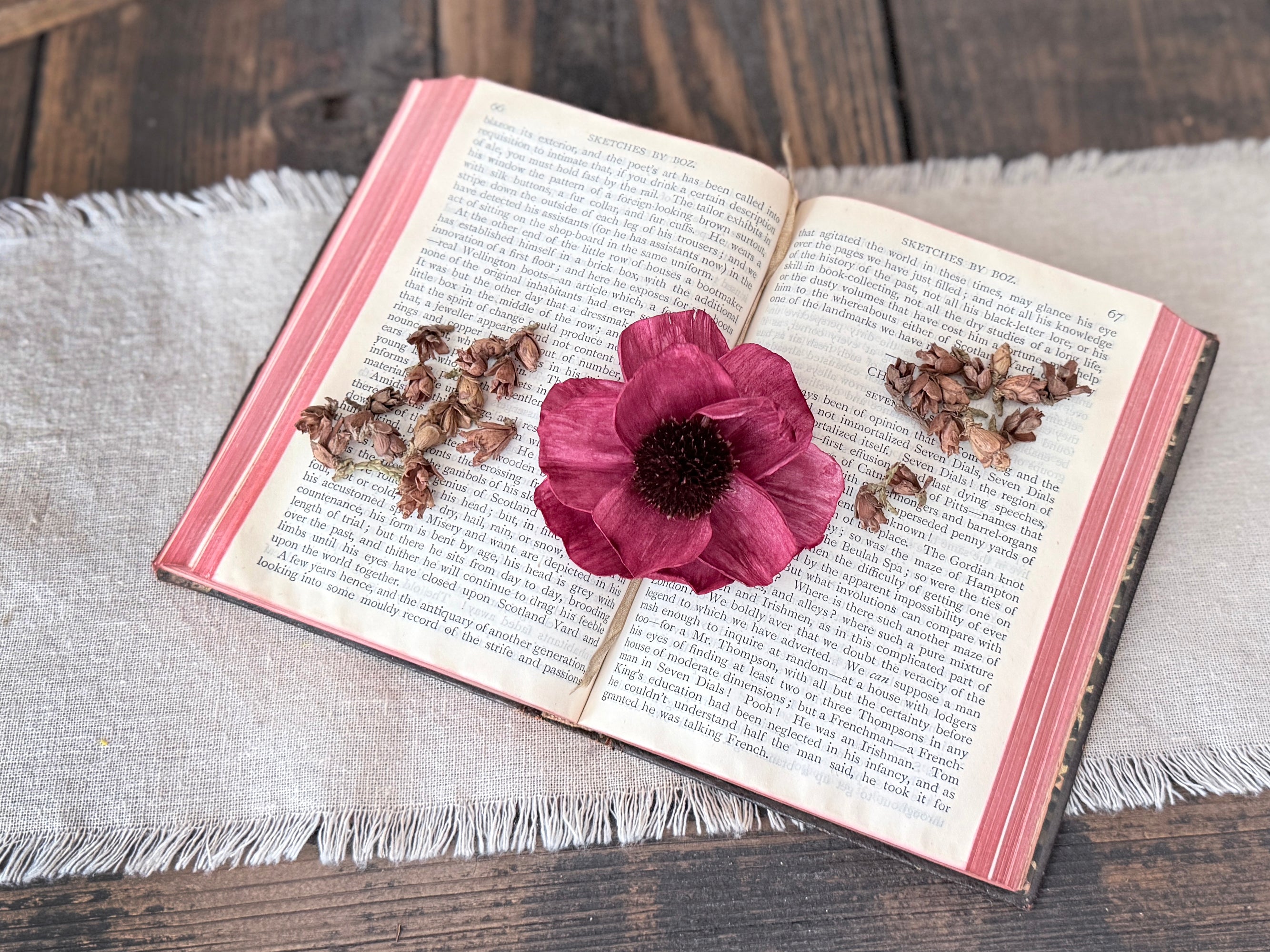Open book with a red flower and pine cones on a wooden surface