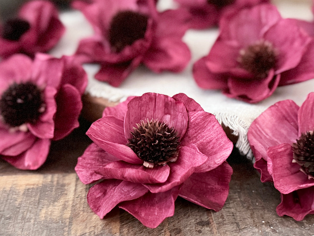 Close-up of red flowers with dark centers on a wooden surface