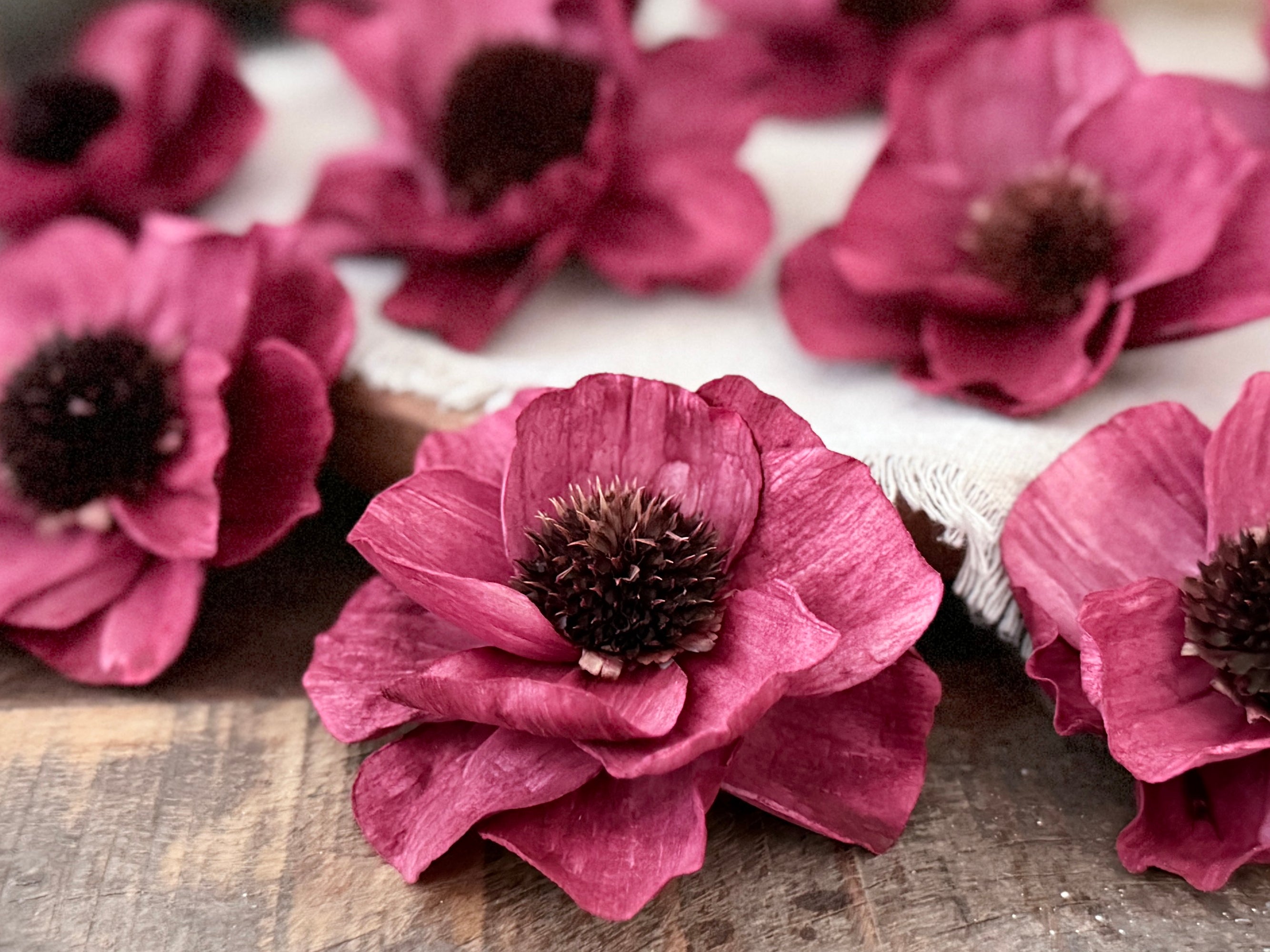 Close-up of red flowers with dark centers on a wooden surface