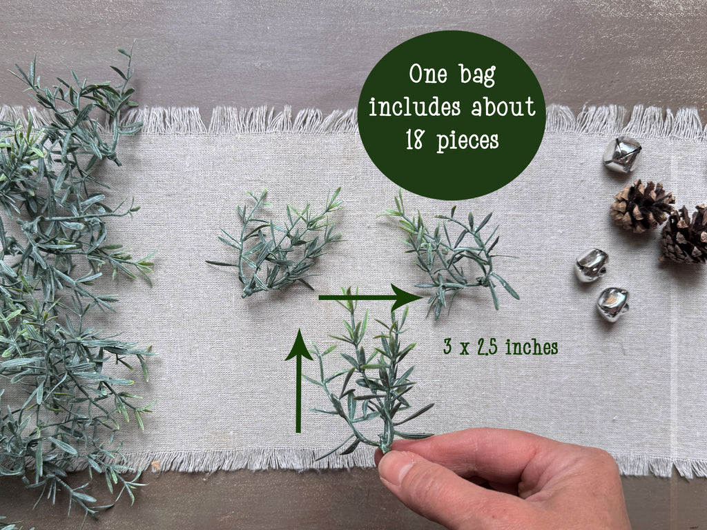 Closeup image showing rosemary sprigs are 3 inches long.