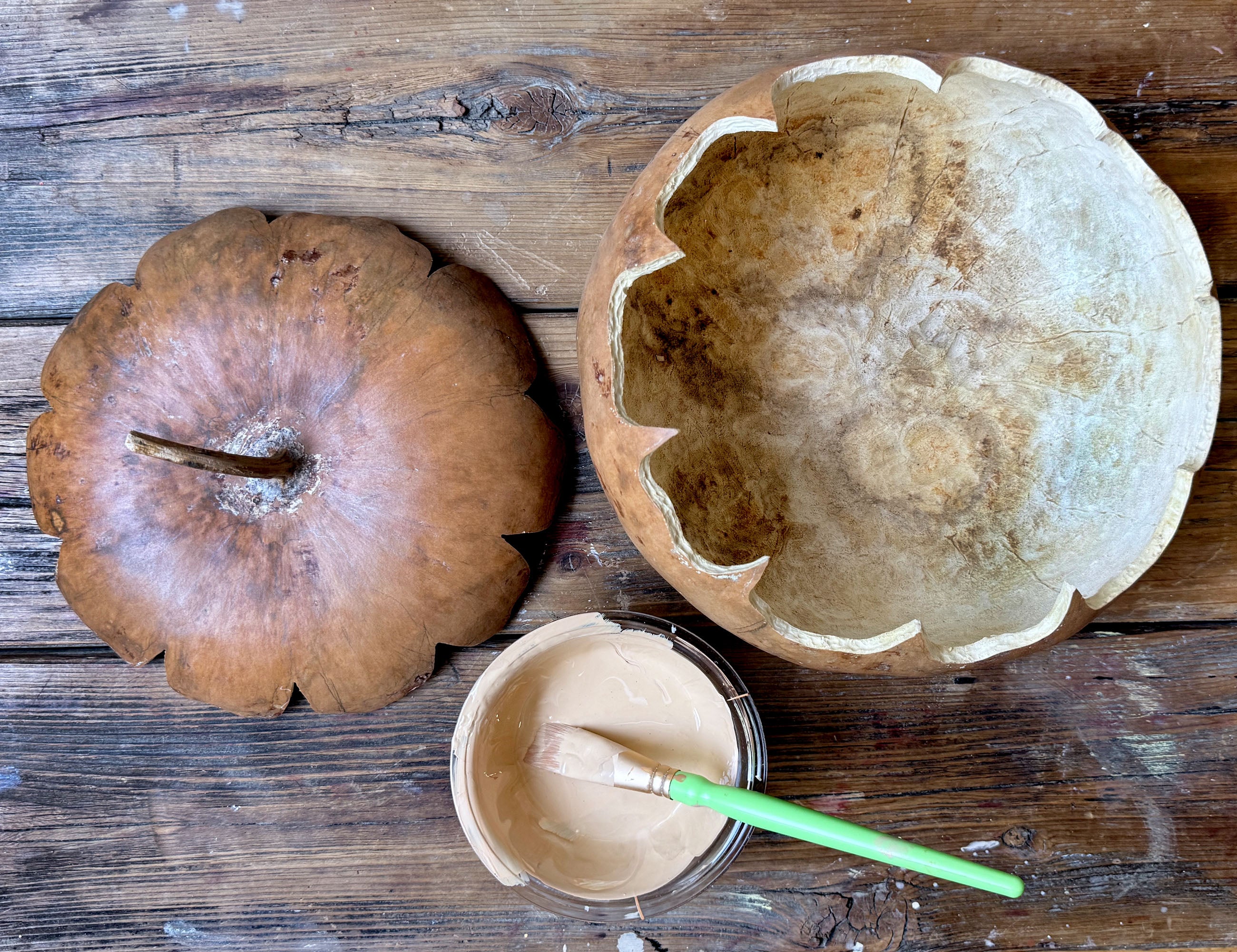Dried gourd cut open with top next to it. A bowl of paint and brush sits near.