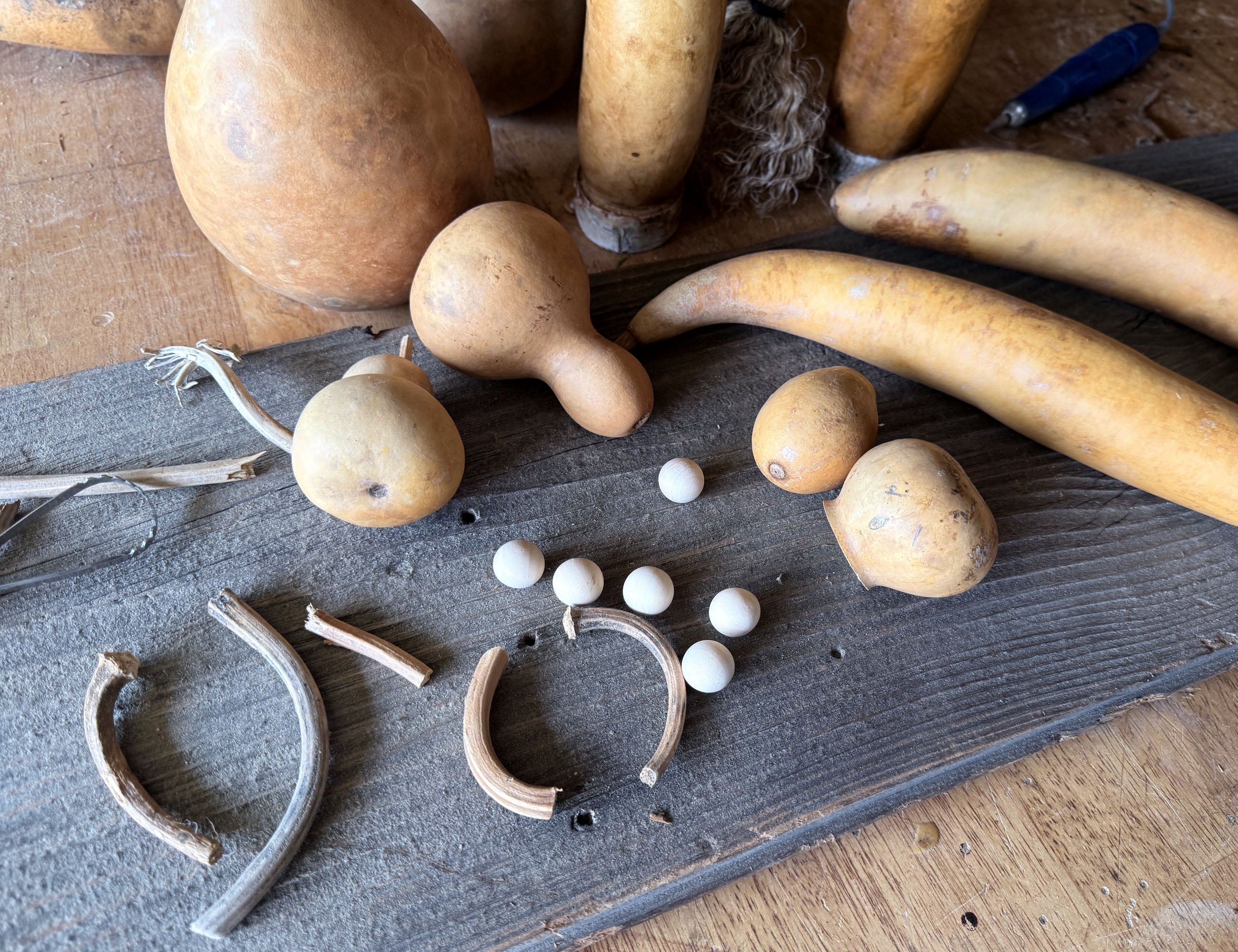 Natural dried gourds and gourd parts arranged on a dark wooden board, with small white beads nearby on a rustic wooden surface.