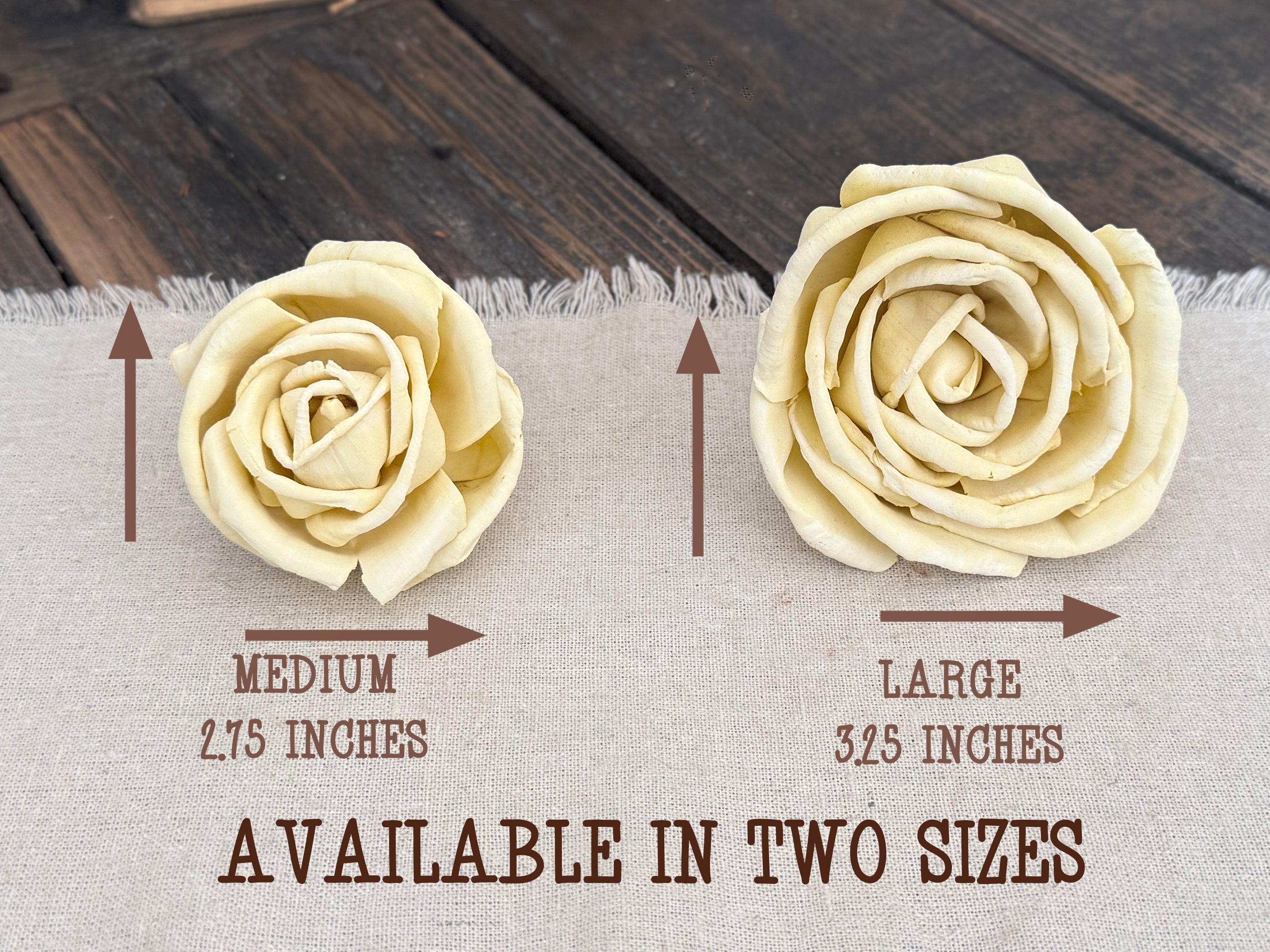 Two cream-colored faux roses on a wooden surface with size comparison text.