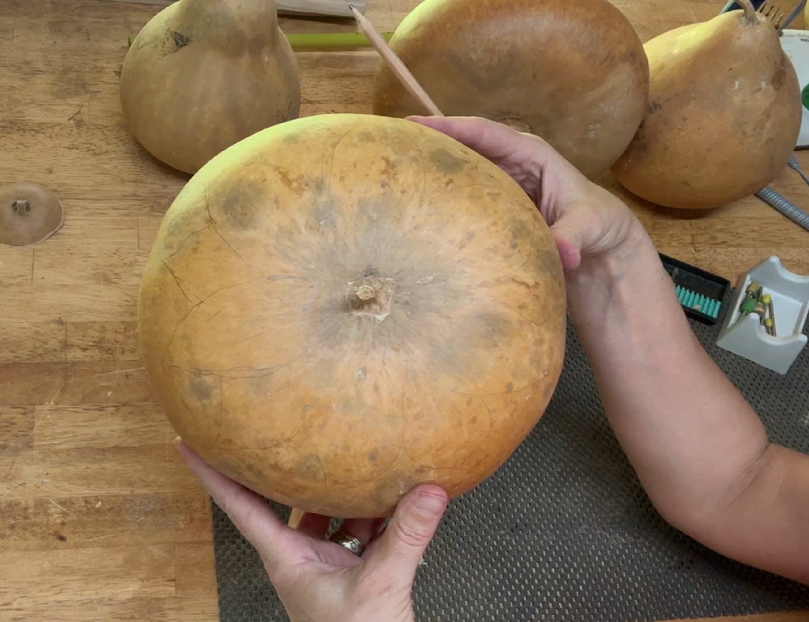 Handmade Zinnia Gourd Bowl with Lid | Unique Rustic Gift & Home Décor
