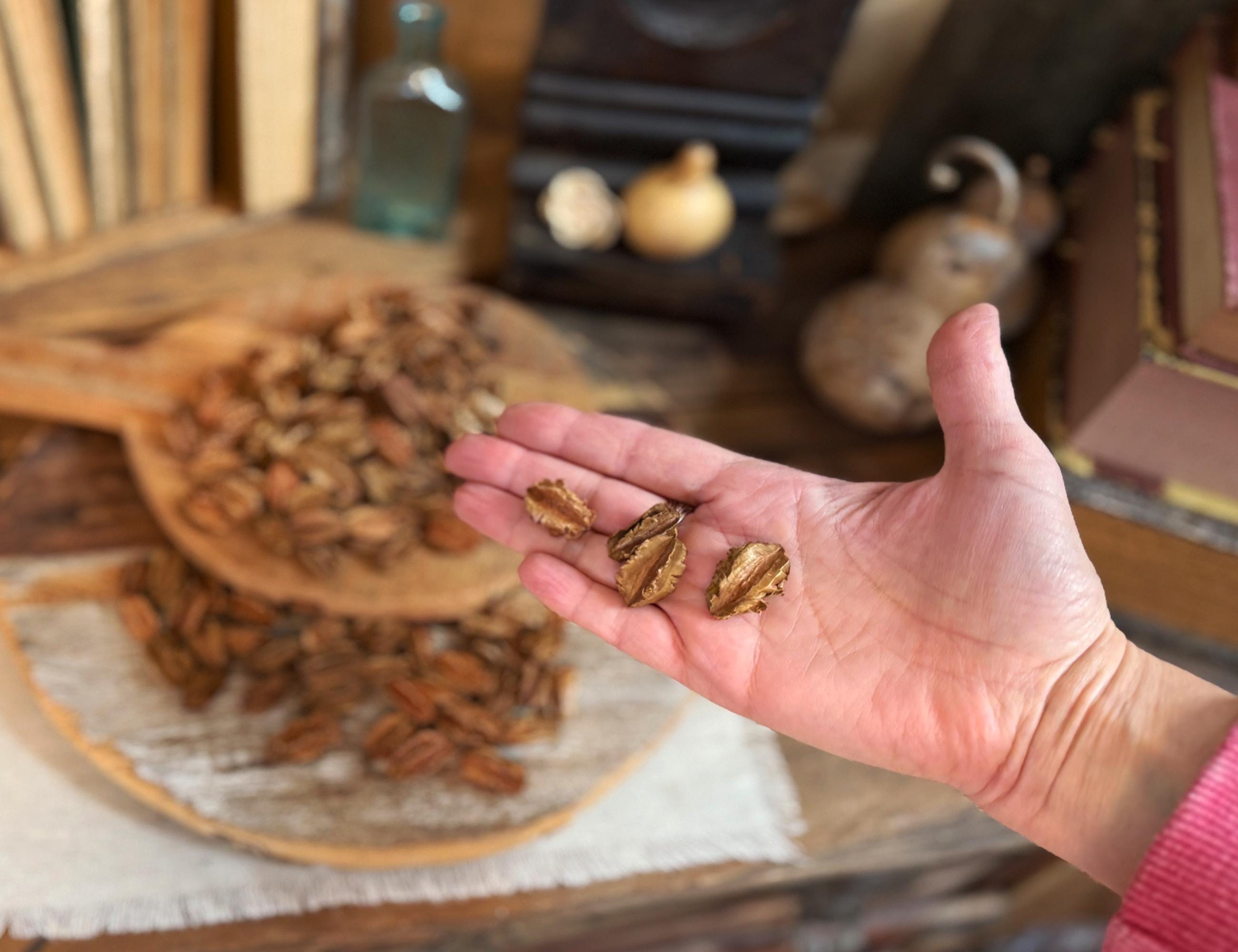 Fall Bowl Filler, Dough Bowl Decorations, Dried Botanicals, Neutral Bowl Fillers, Centerpieces For Coffee Table, Natural Vase Filler