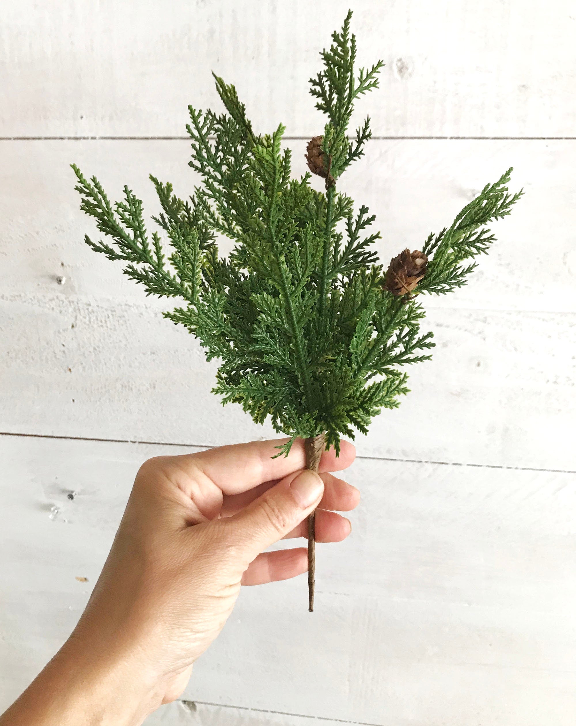 Hand holding a small branch of greenery with cones against a light wooden background