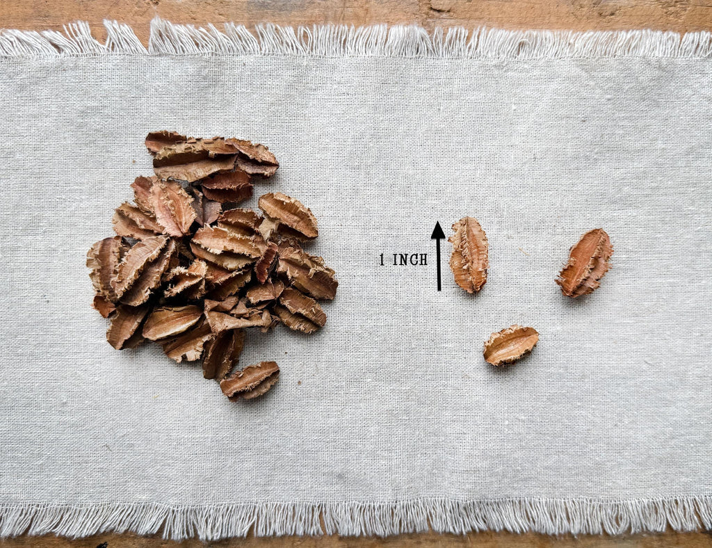 Fall Bowl Filler, Dough Bowl Decorations, Dried Botanicals, Neutral Bowl Fillers, Centerpieces For Coffee Table, Natural Vase Filler