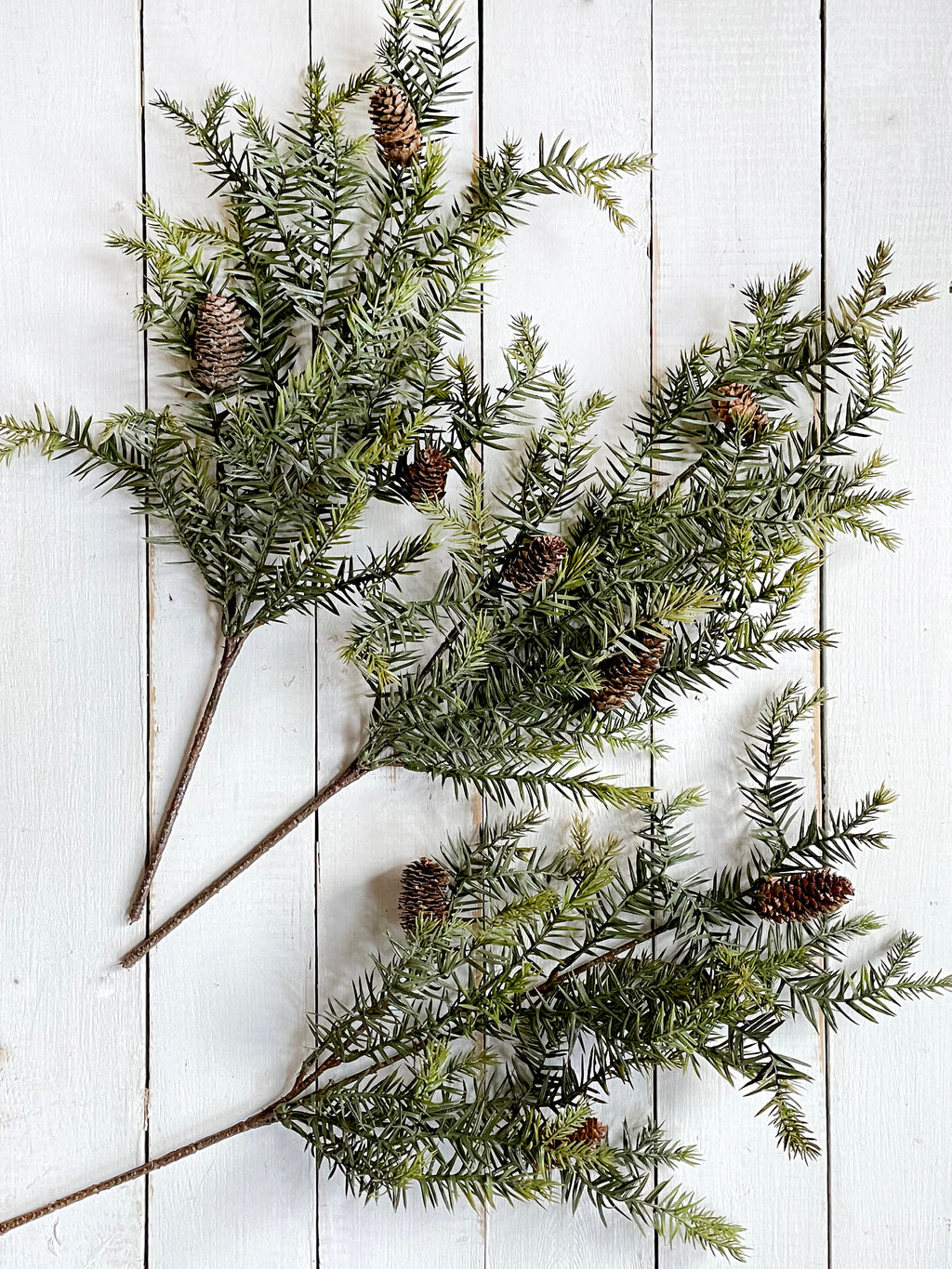 Greenery branches with pine cones on a white wooden surface