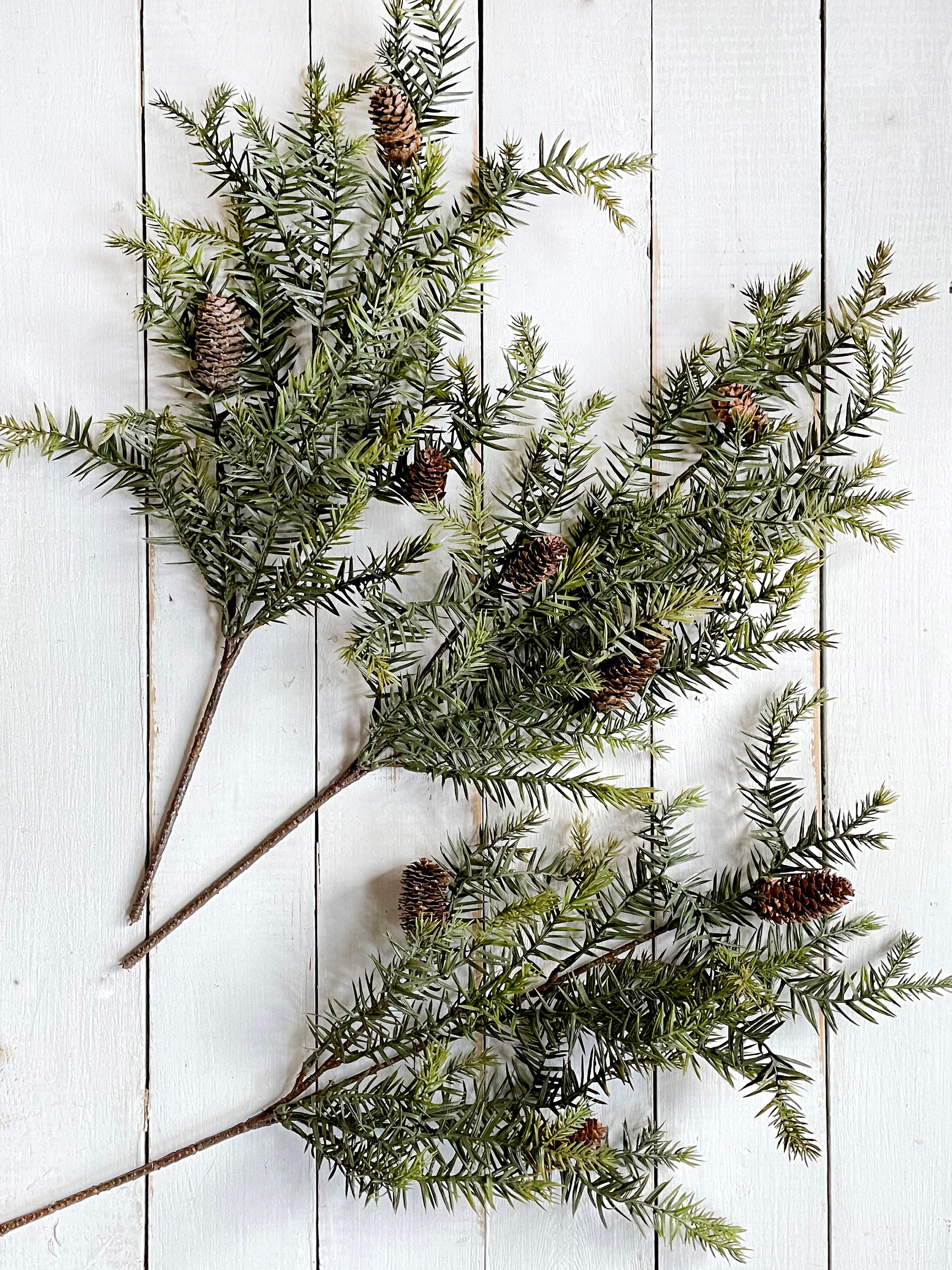 Greenery branches with pine cones on a white wooden surface