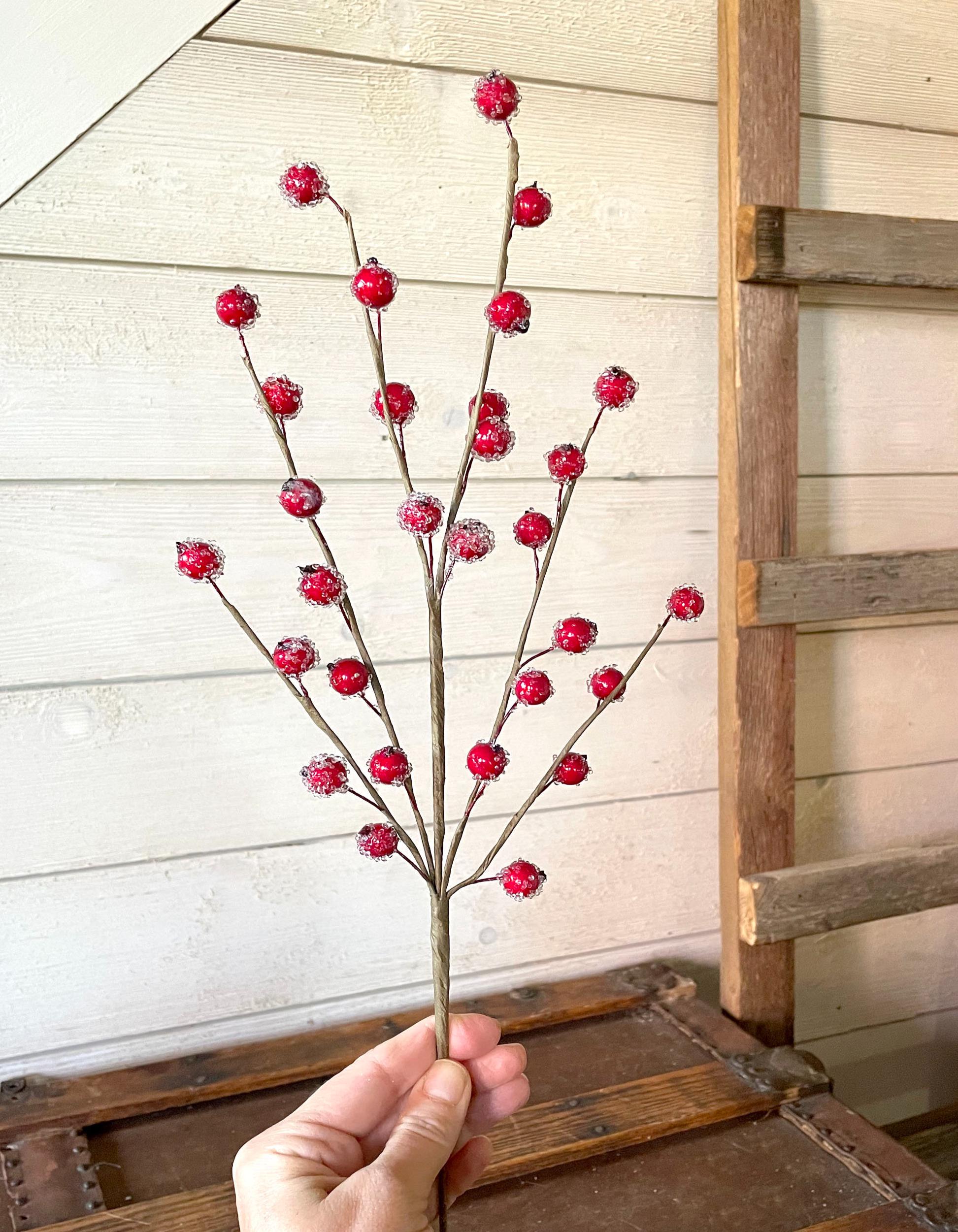 Decorative branch with red berries held by a hand against a wooden background
