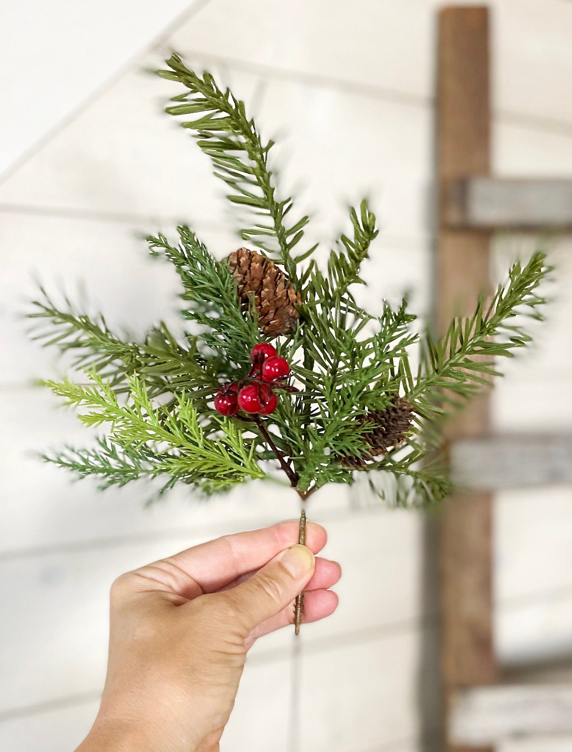 Hand holding a small branch with green leaves, red berries, and pine cones against a white background.