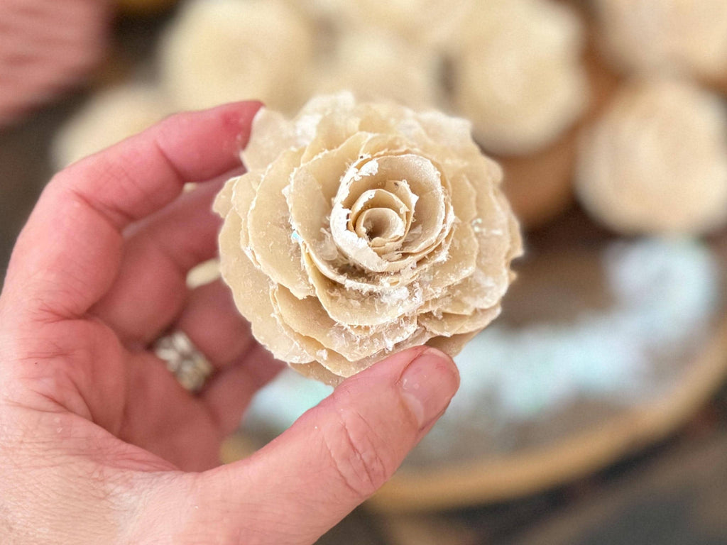 Hand holding a beige rose-shaped object with a blurred background