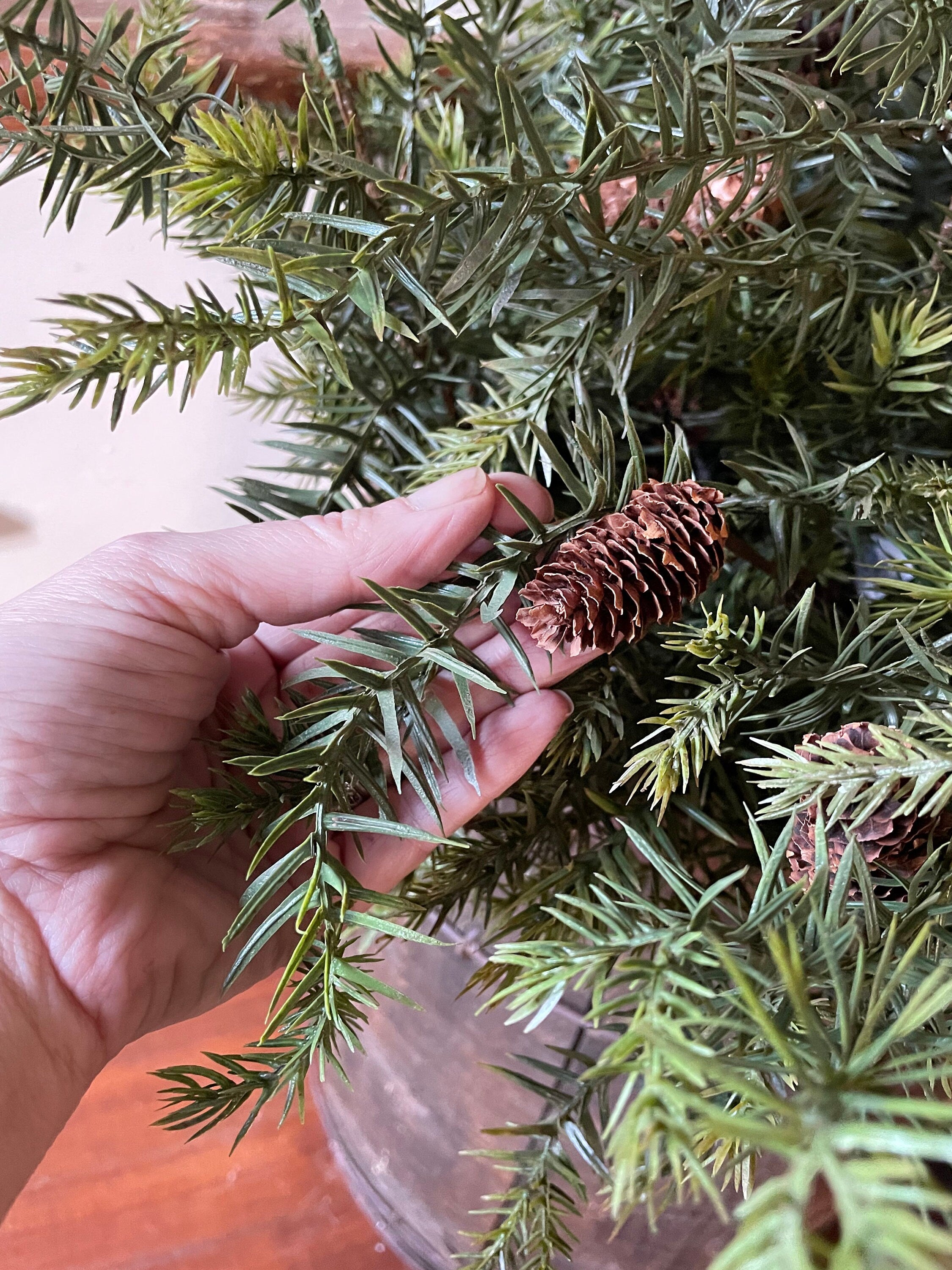 Hand holding a pine cone among green pine needles