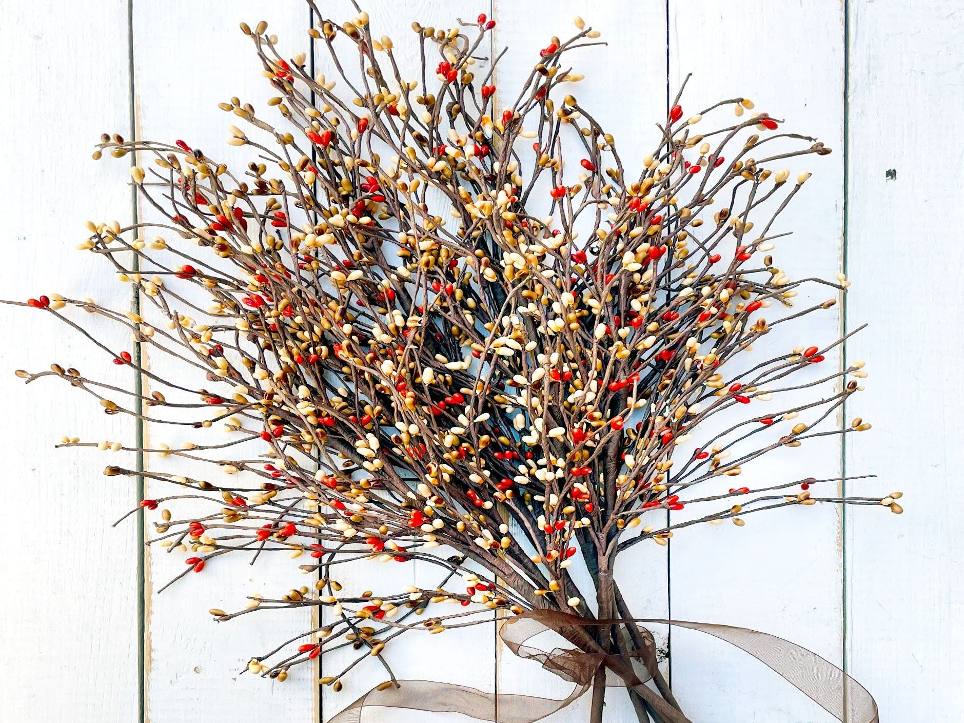 Decorative  branches and with small berries in orange, beige, and brown on a white background