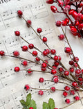 Red berries on branches over a sheet of music