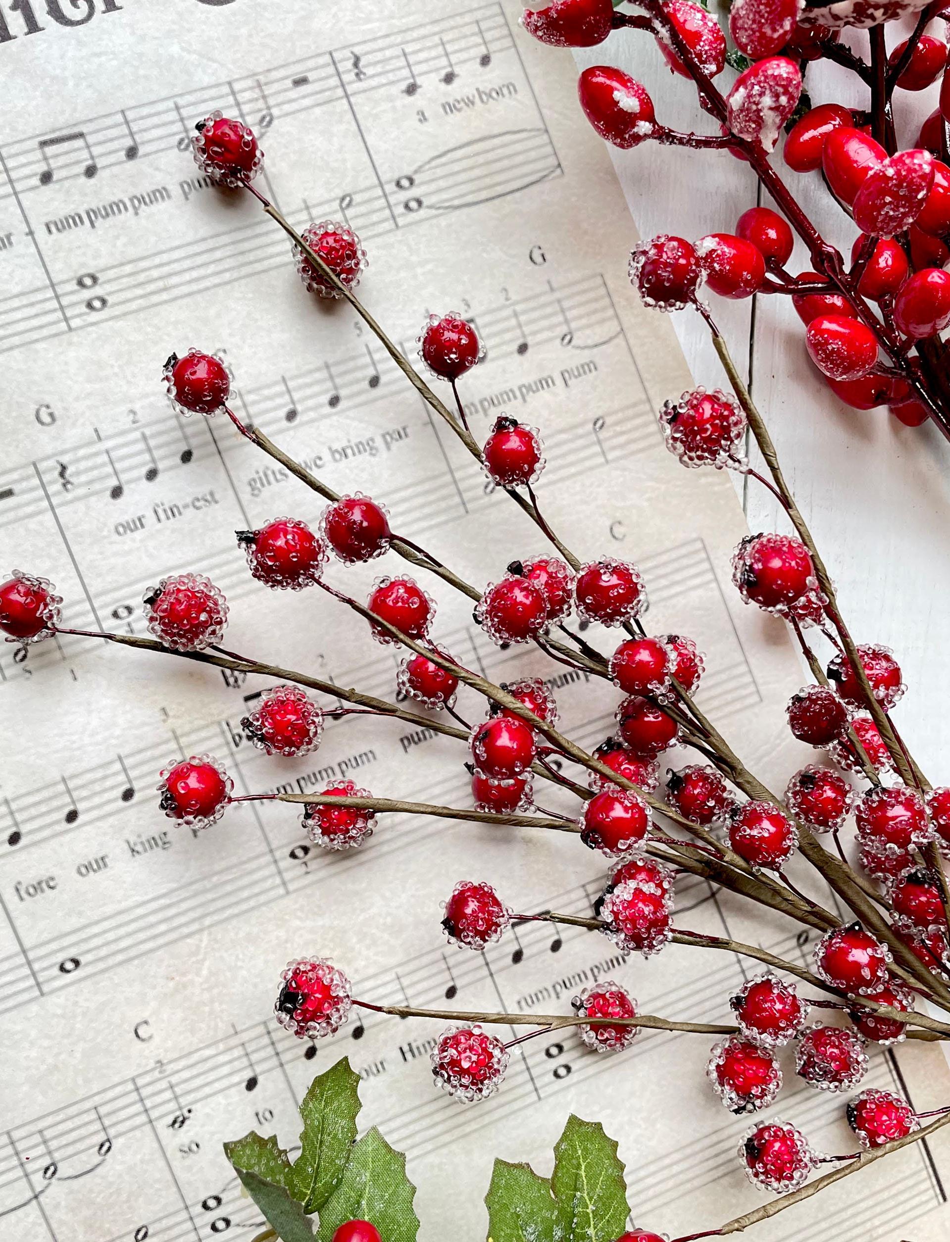 Red berries on branches over a sheet of music