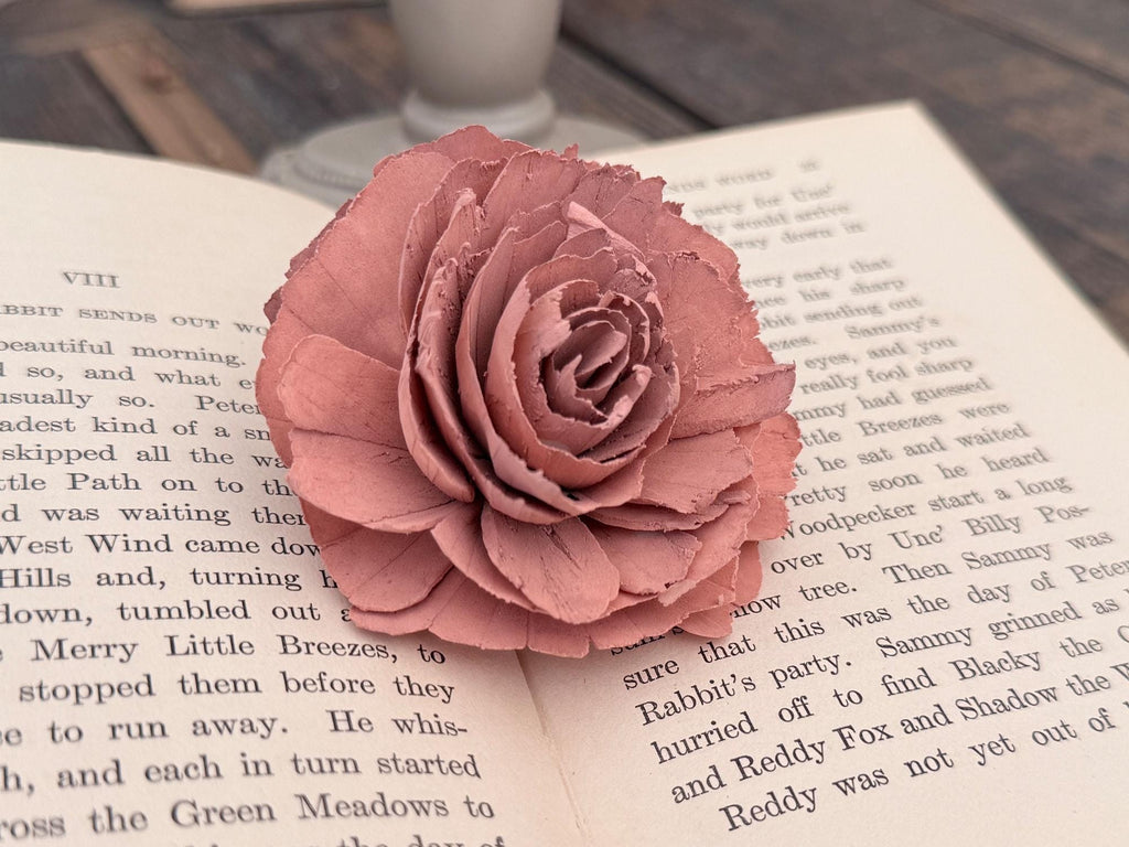Pink wood rose blossom on an open book with a blurred background