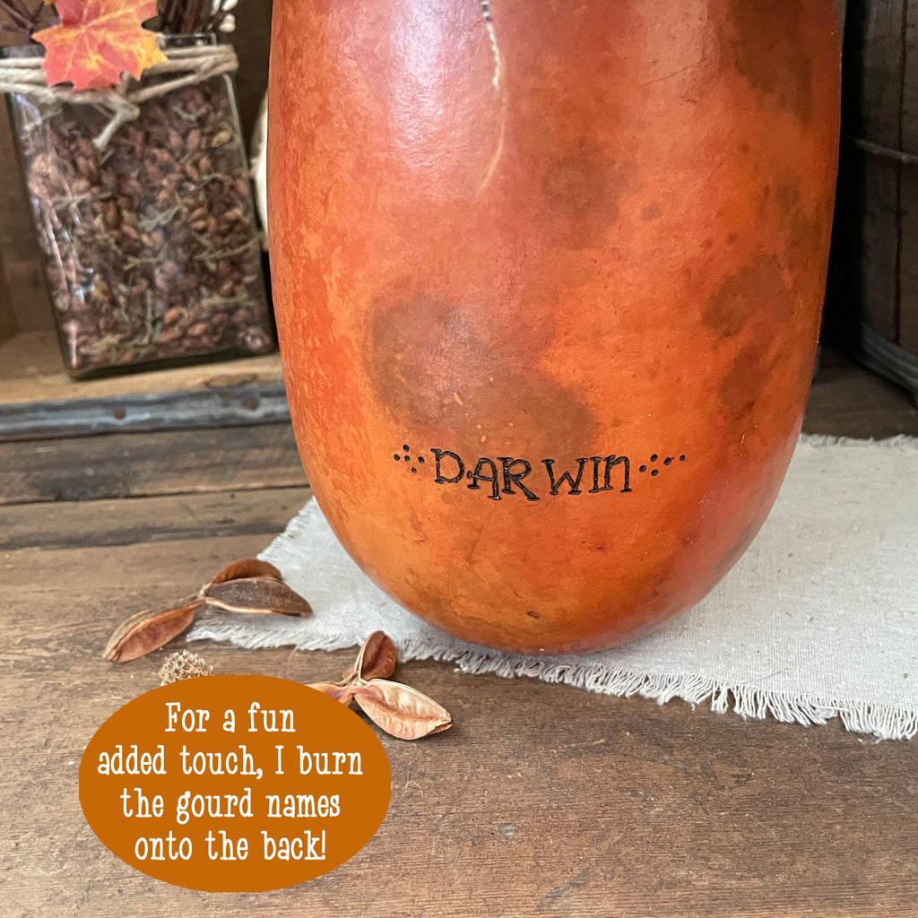 Gourd with 'Darwin' burned onto it on a wooden surface with text overlay.