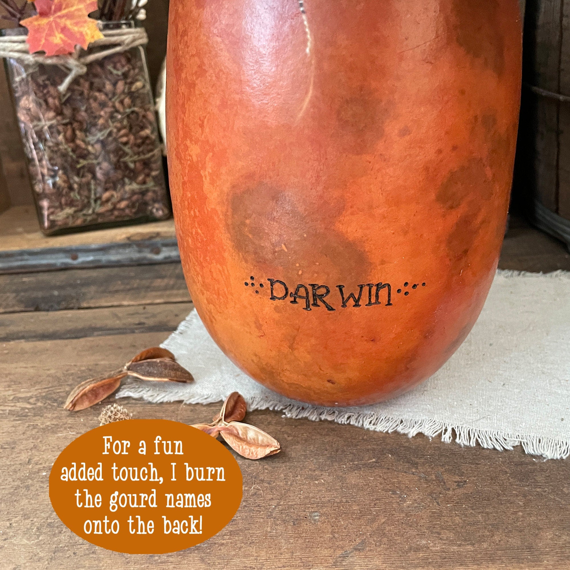 Gourd with 'Darwin' burned onto it on a wooden surface with text overlay.