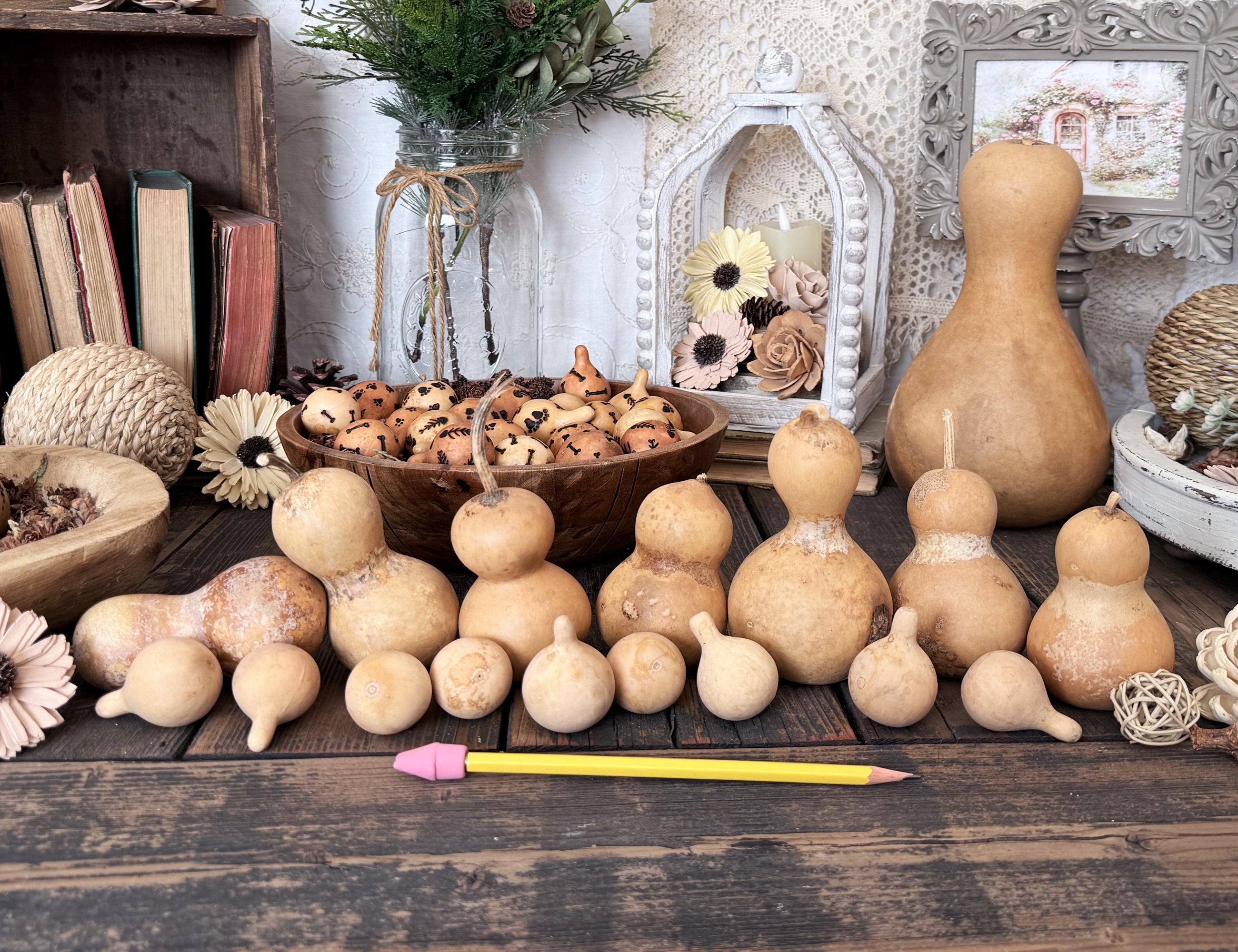 Decorative display of mini bottle gourds on a wooden surface with books and decorative items in the background.